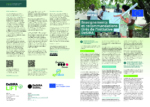 Enseignements et recommandations tirés de l’initiative DeSIRA
