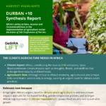Harvest Highlights: DURBAN +10 Synthesis Report