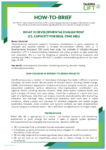 What is Developmental Evaluation?
